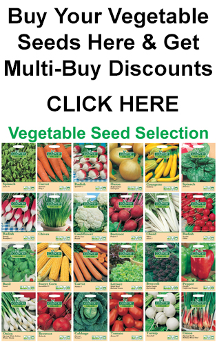 Vegetable Seeds By Country Value Ans Mr Fothergill's